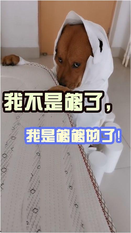 够了!,够了!揭秘过度消费的真相与应对策略